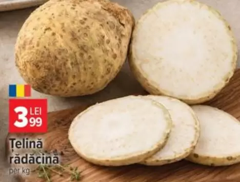 Țelină rădăcină