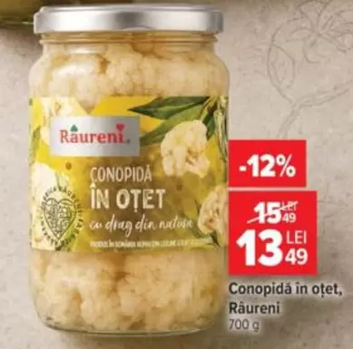 CONOPIDA IN OTET cu drag din natura