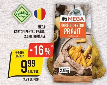 CARTOGI PENTRU PRĂJIT