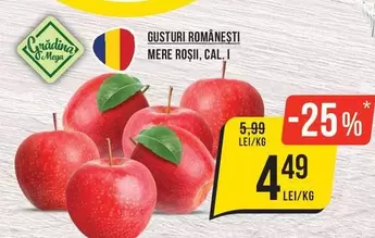 MERE ROȘII, CAL. I