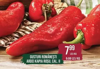 ARDEI KAPIA ROSU, CAL. II