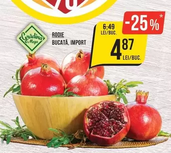 RODIE BUCATĂ, IMPORT