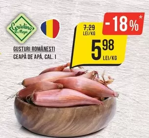CEAPĂ DE APĂ