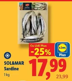 Sardine