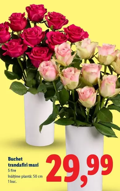 Buchet trandafiri maxi