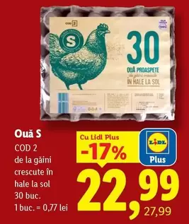 Ouă S