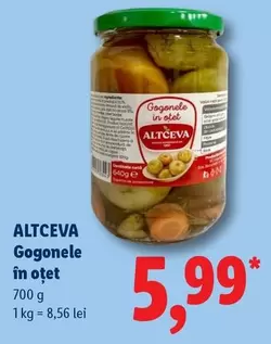 Gogonele în oțet