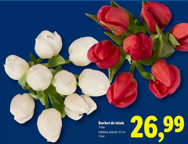 Buchet de lalele