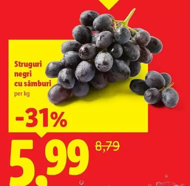 Struguri negri cu samburi