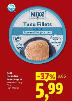 Tuna Fillets