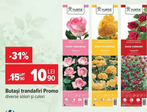 Butași trandafiri