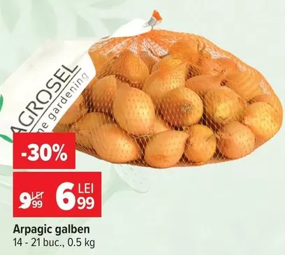 Arpagic galben