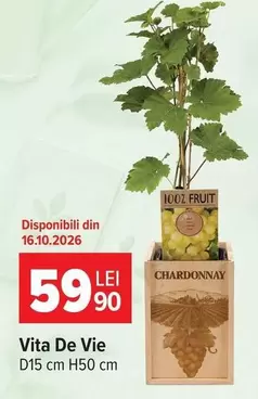 Vita De Vie