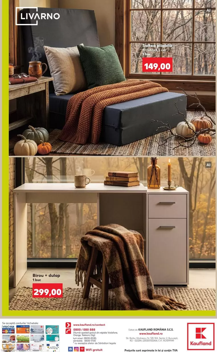 Foldable Bed