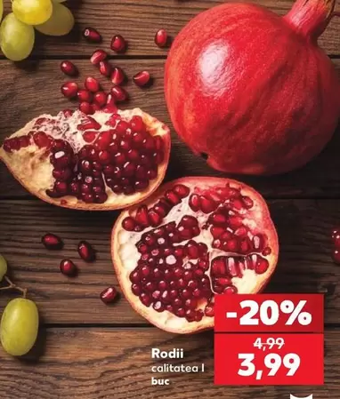 Rodii