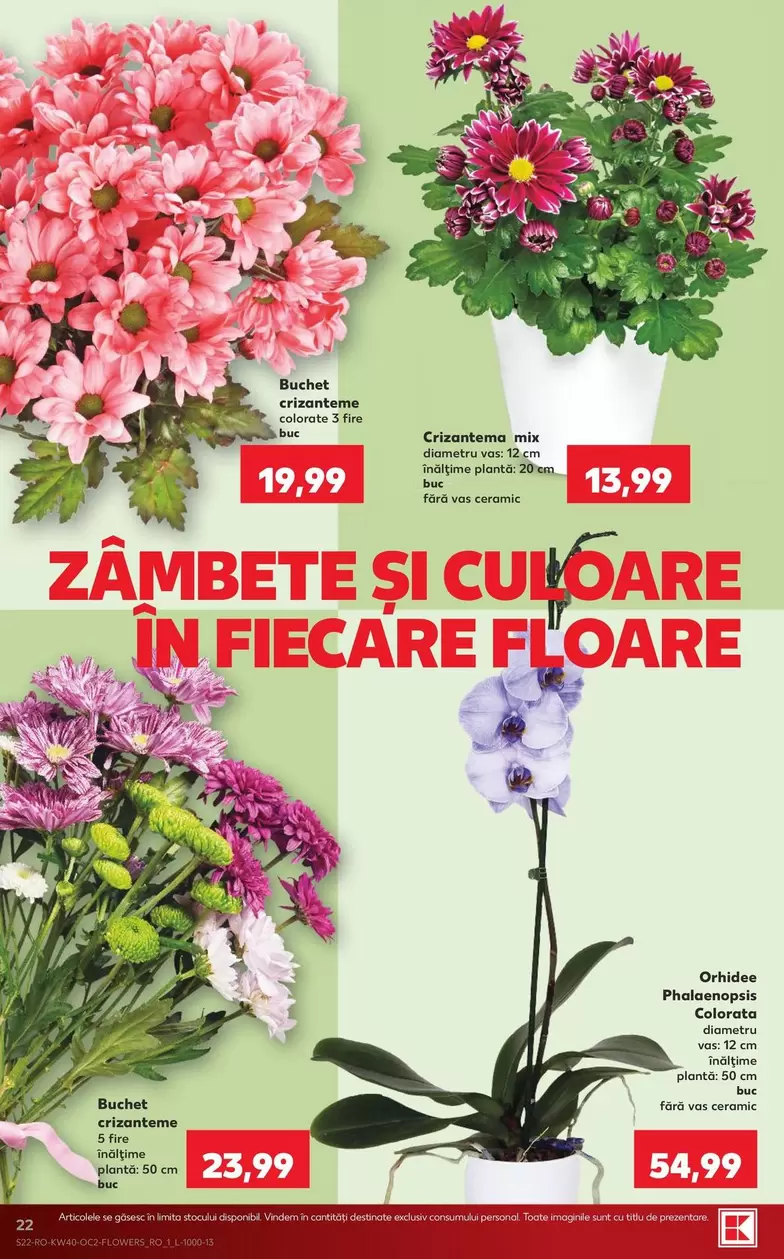 Buchet crizanteme colorate
