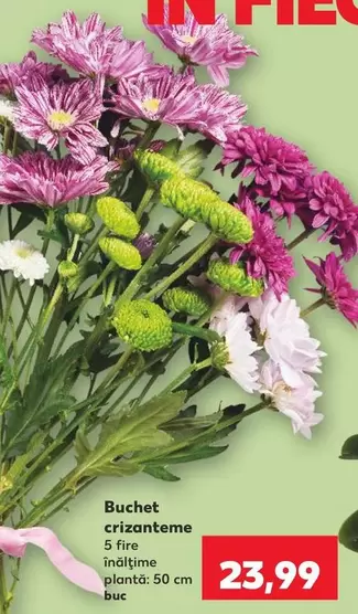 Buchet crizanteme