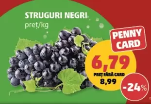 Struguri Negri
