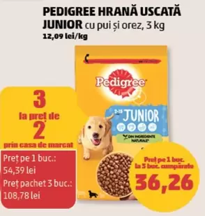 HRANĂ USCATĂ JUNIOR cu pui și orez