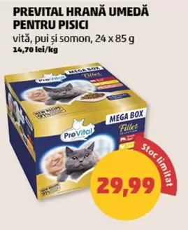HRANĂ UMEDĂ PENTRU PISICI