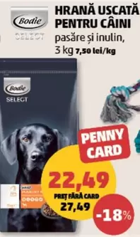 HRANĂ USCATĂ PENTRU CÂINI