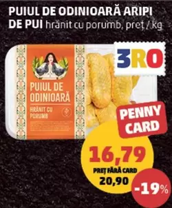 PUIUL DE ODINIOARĂ ARIPI DE PUI