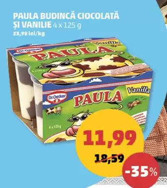 PAULA BUDINCĂ CIOCCOLATĂ ȘI VANILIE