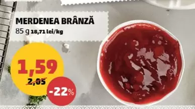 MERDENEA BRÂNZĂ