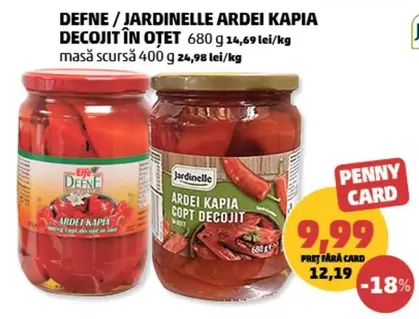 ARDEI KAPIA COPT DECOJIT