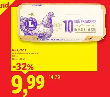 Ouă proaspete de găini crescute în hale la sol