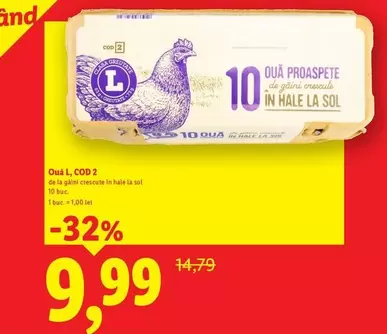 Ouă proaspete de găini crescute în hale la sol