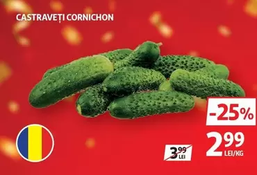CASTRAVEȚI CORNICHON