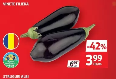 VINETE FILIERA