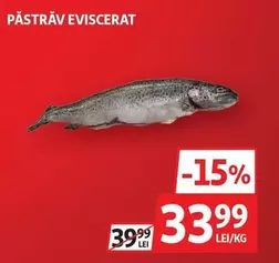 PĂSTRĂV EVISCERAT