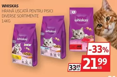 HRANĂ USCATĂ PENTRU PISICI DIVERSE SORTIMENTE