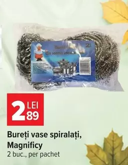 Bureți vase spiralați