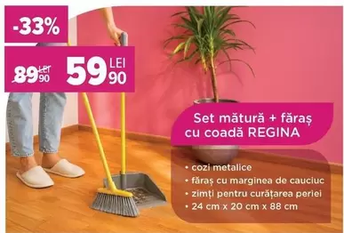 Set mătură + făraș