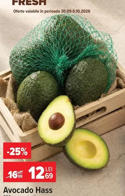 Avocado Hass