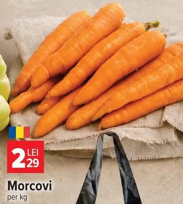 Morcovi