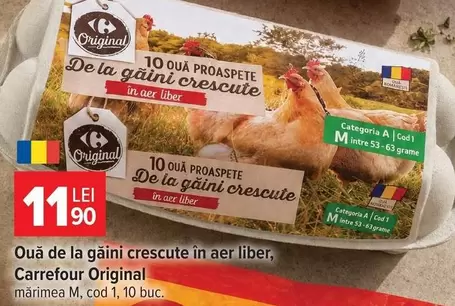 10 Ouă Proaspete De La Găini Crescute În Aer Liber