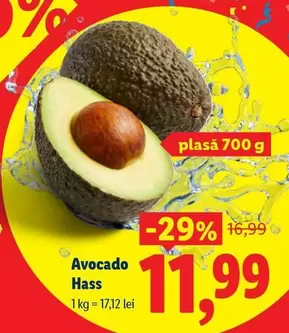 Avocado Hass