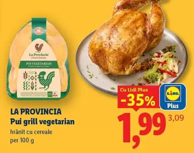 Pui grill vegetarian