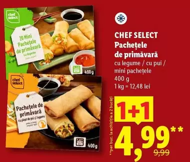 Pachetele de primăvară cu legume / cu pui