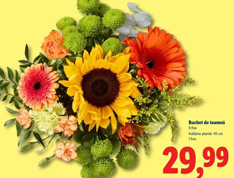 Buchet de toamnă