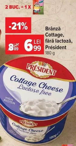 Cottage Cheese