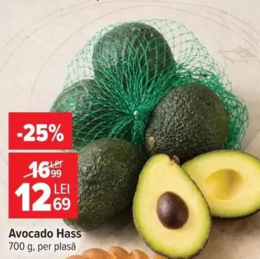 Avocado Hass