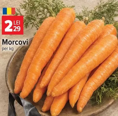 Morcovi