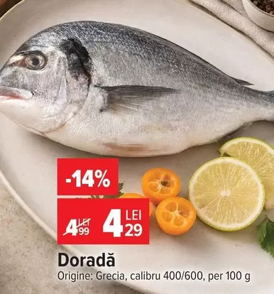 Doradă