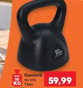 Ganteră tip bilă