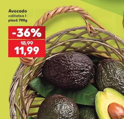 Avocado